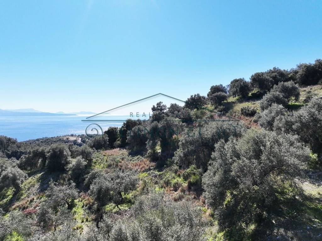 Η όμορφη θέα από το αγροτεμάχιο