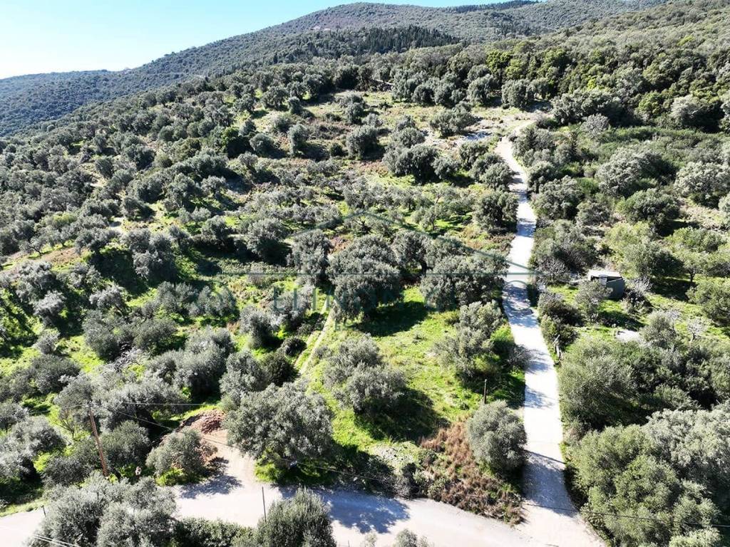 Το αγροτεμάχιο από ψηλά