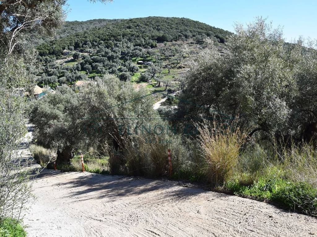 Η πρόσβαση στο αγροτεμάχιο