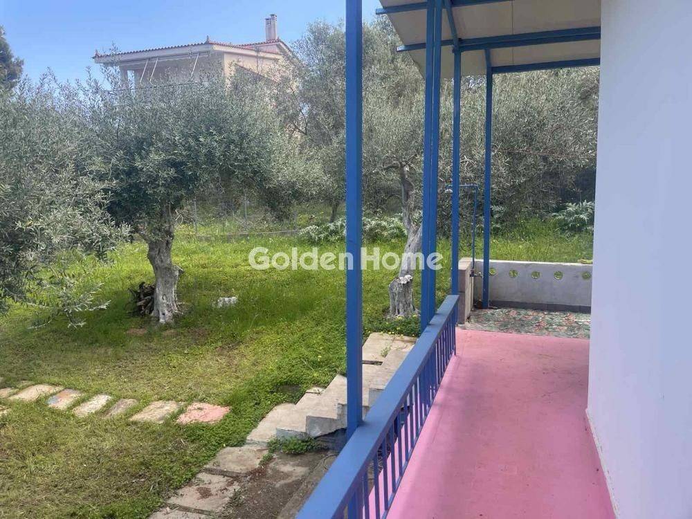 Ανελκυστήρας