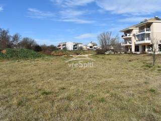 ΑΠΟΨΗ ΟΙΚΟΠΕΔΟΥ