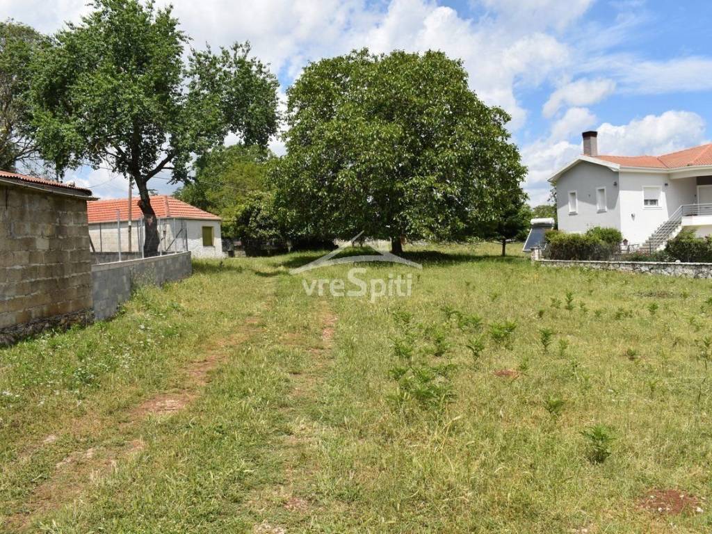 ΑΠΟΨΗ ΑΚΙΝΗΤΟΥ