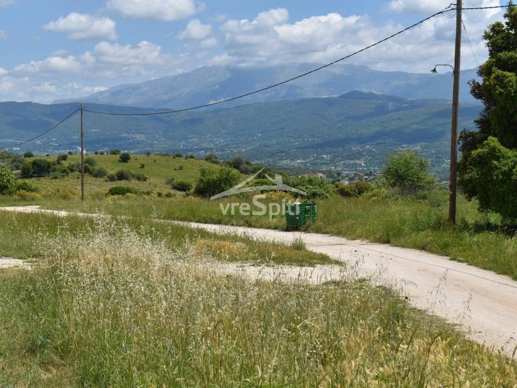 ΑΠΟΨΗ ΑΚΙΝΗΤΟΥ