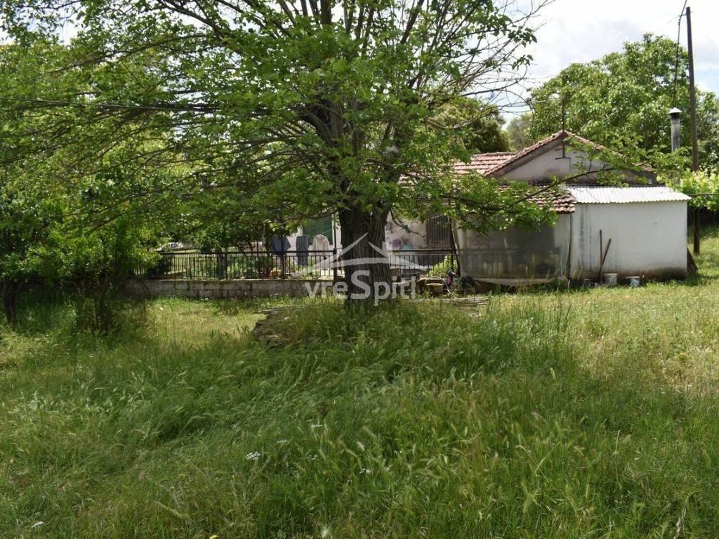 ΑΠΟΨΗ ΑΚΙΝΗΤΟΥ