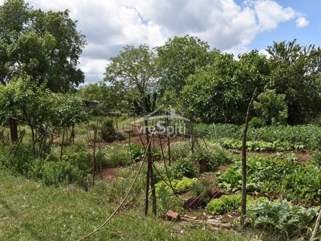 ΑΠΟΨΗ ΑΚΙΝΗΤΟΥ