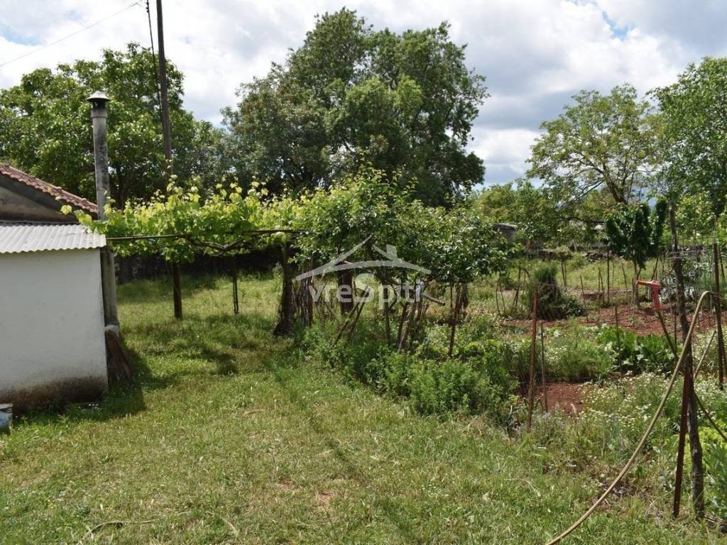 ΑΠΟΨΗ ΑΚΙΝΗΤΟΥ