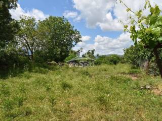 ΑΠΟΨΗ ΑΚΙΝΗΤΟΥ