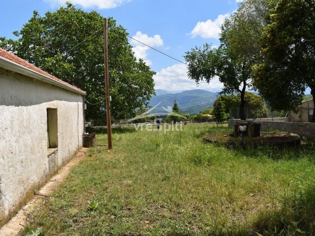 ΑΠΟΨΗ ΑΚΙΝΗΤΟΥ