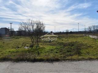 ΑΠΟΨΗ ΑΚΙΝΗΤΩΝ