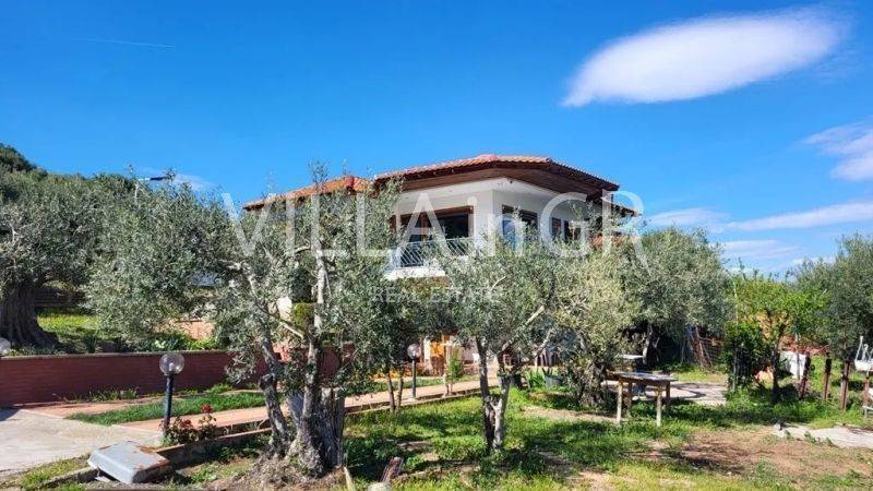 Εξωτερικός χώρος