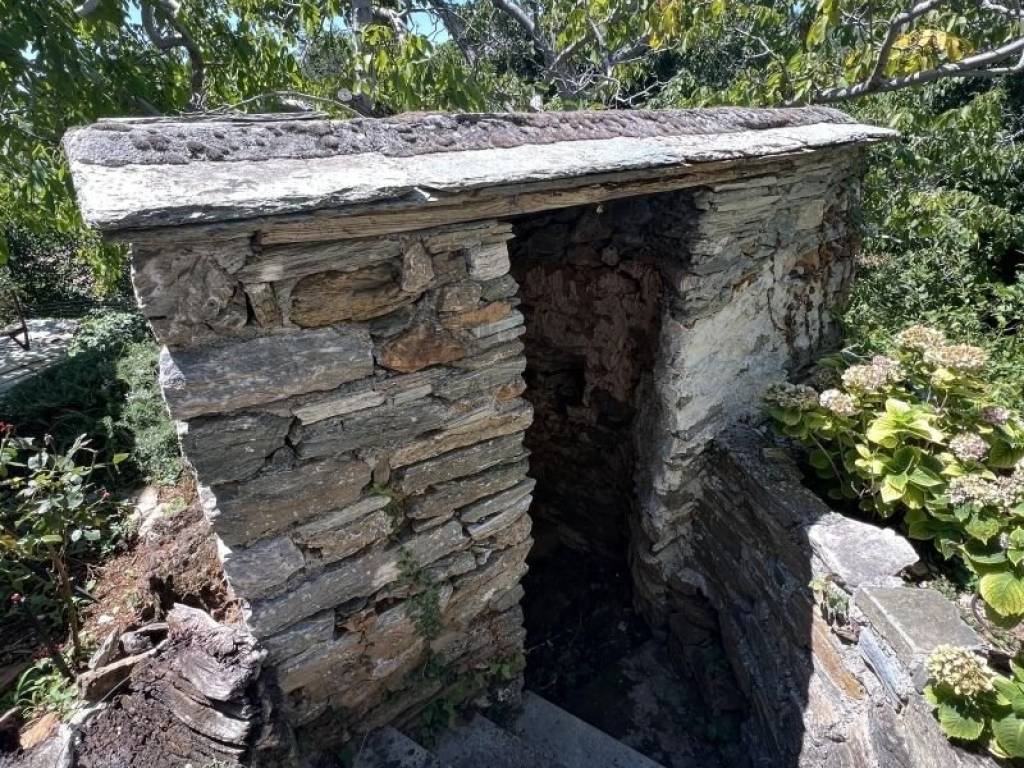 Ύπαρξη ανθρώπου