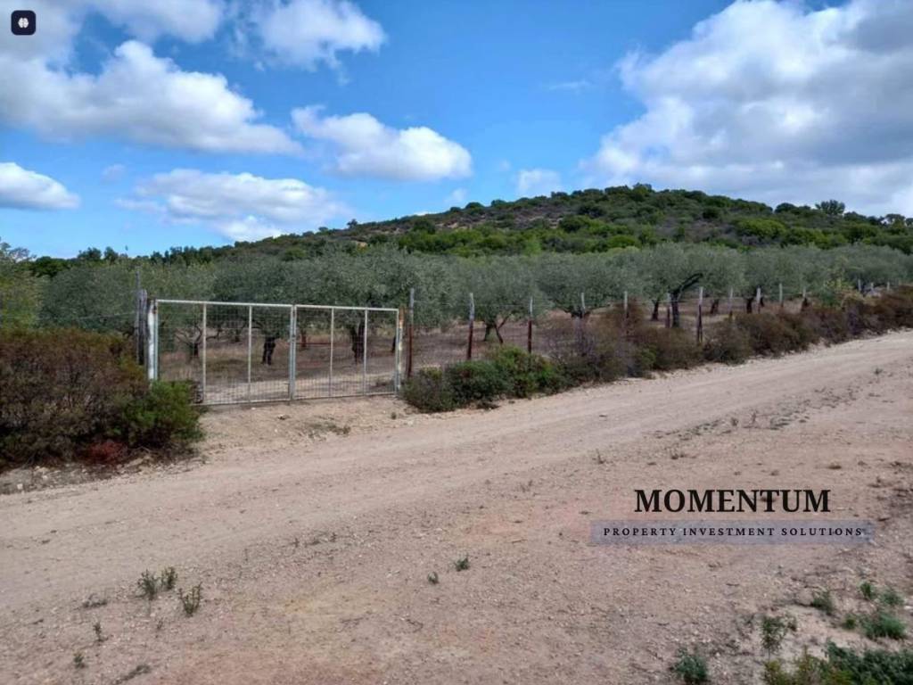 Εξωτερικοι χώροι