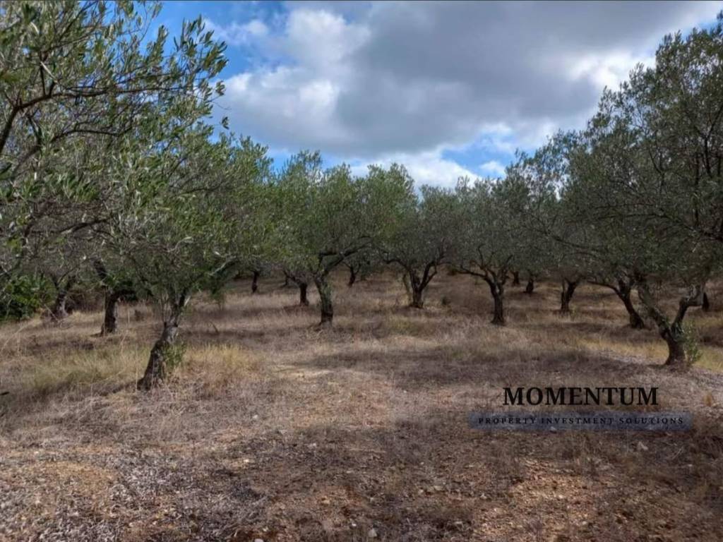 Εξωτερικοι χώροι