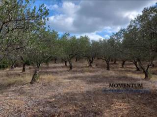 Εξωτερικοι χώροι