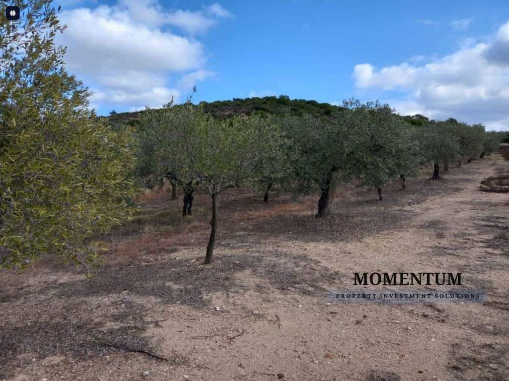 Εξωτερικοι χώροι