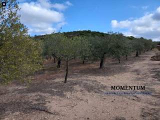 Εξωτερικοι χώροι