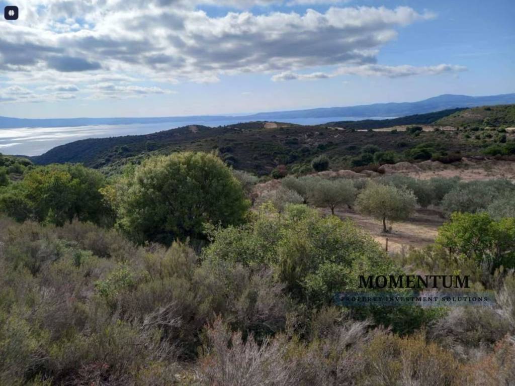 Εξωτερικοι χώροι