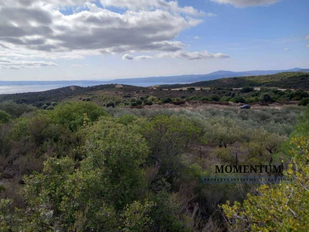 Εξωτερικοι χώροι