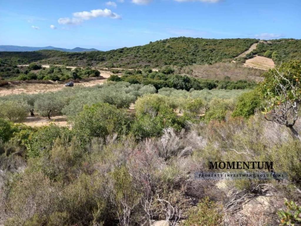 Εξωτερικοι χώροι