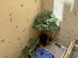 exarcheia_residential_apartment_for_rent