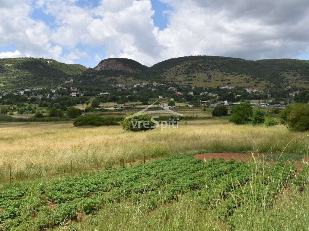 APOPSE AGROTEMACHIOY