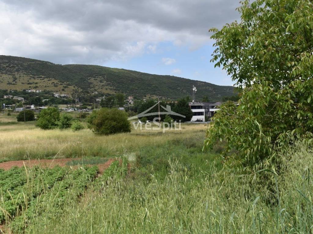 APOPSE AGROTEMACHIOY