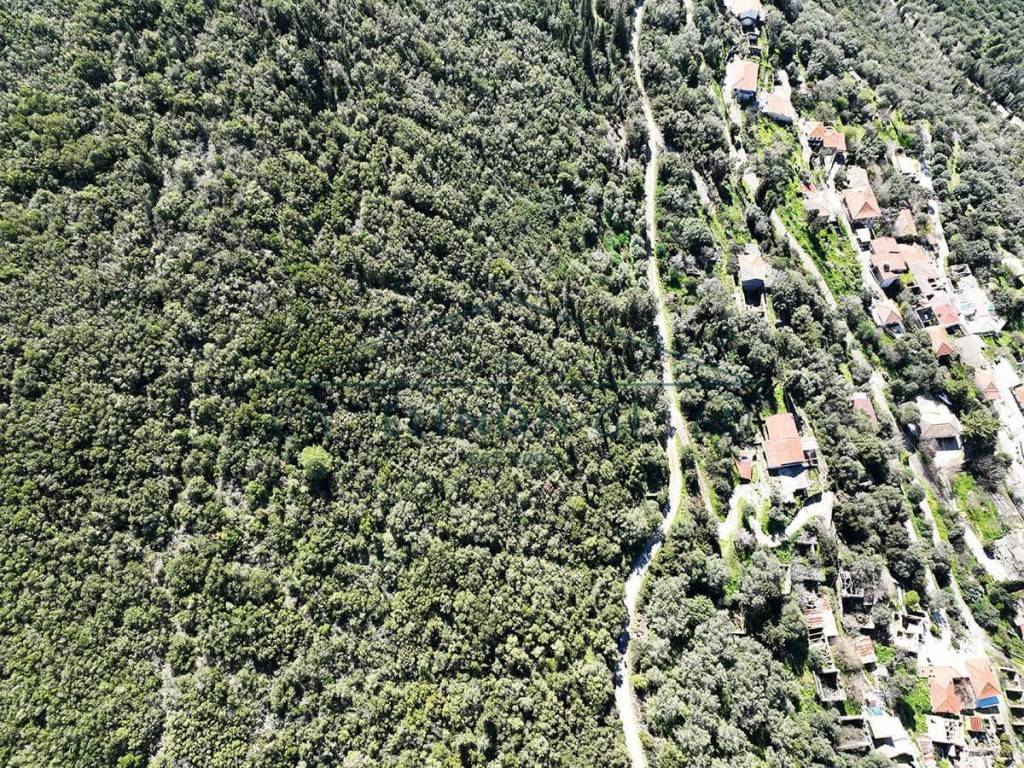 To oikopedo apo psela