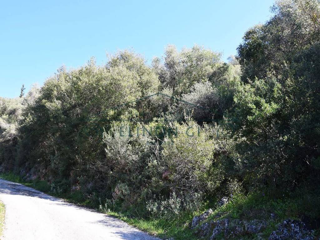 E prosbase sto oikopedo