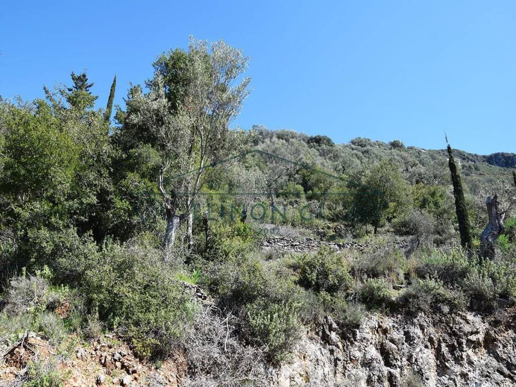 Το οικόπεδο