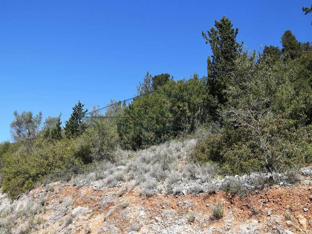 Το οικόπεδο