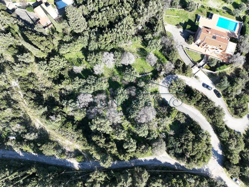 Το αγροτεμάχιο από ψηλά