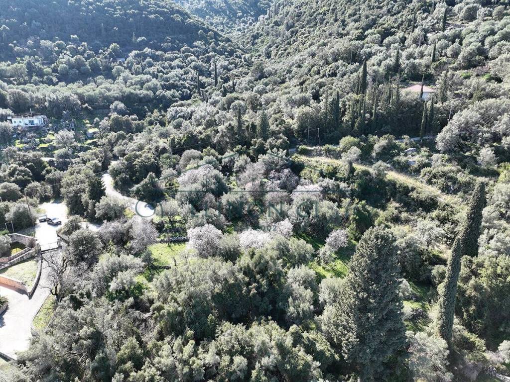 Το αγροτεμάχιο από ψηλά