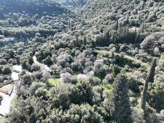 Το αγροτεμάχιο από ψηλά