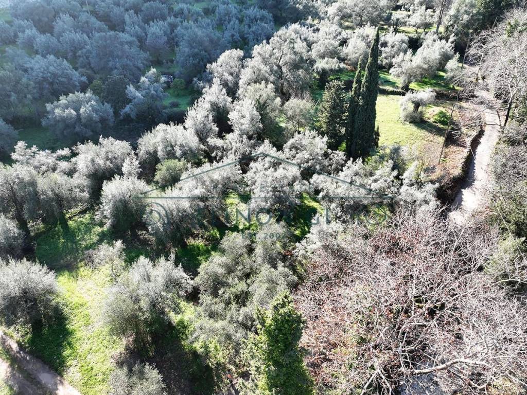 Το οικόπεδο από ψηλά