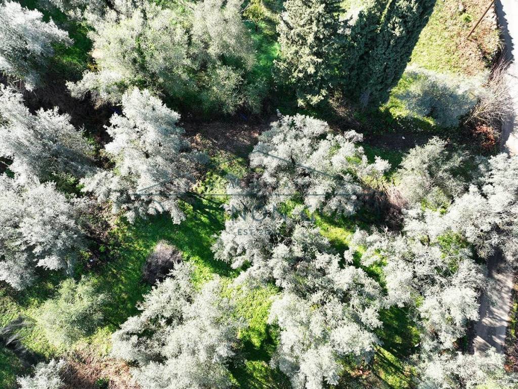 Το οικόπεδο από ψηλά