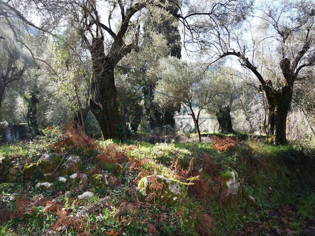 Το οικόπεδο