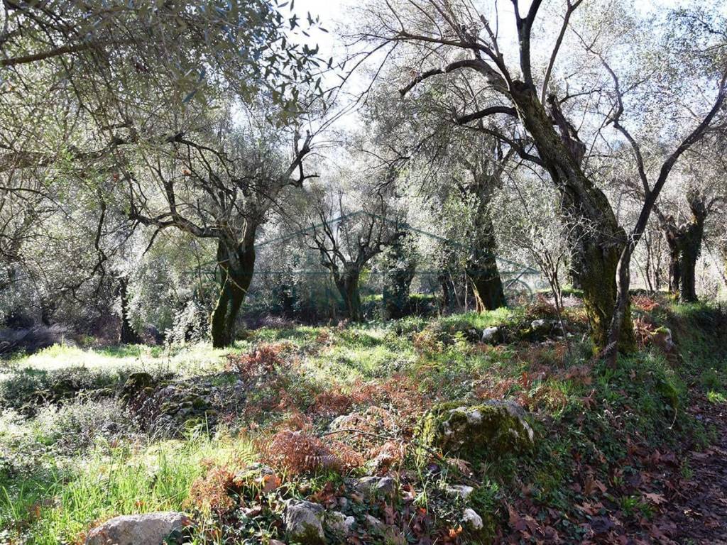 Το οικόπεδο