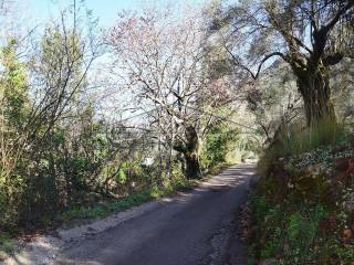 Η πρόσβαση στο αγροτεμάχιο