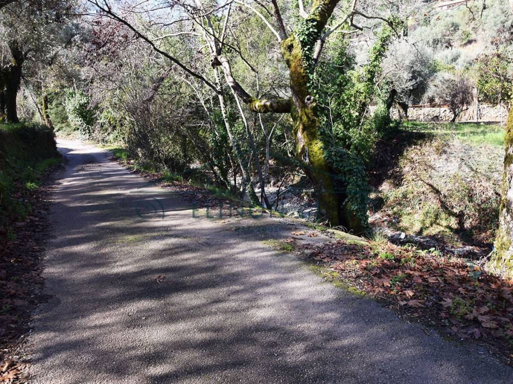 Η πρόσβαση στο αγροτεμάχιο