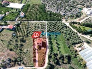 Ύπαρξη ανθρώπου