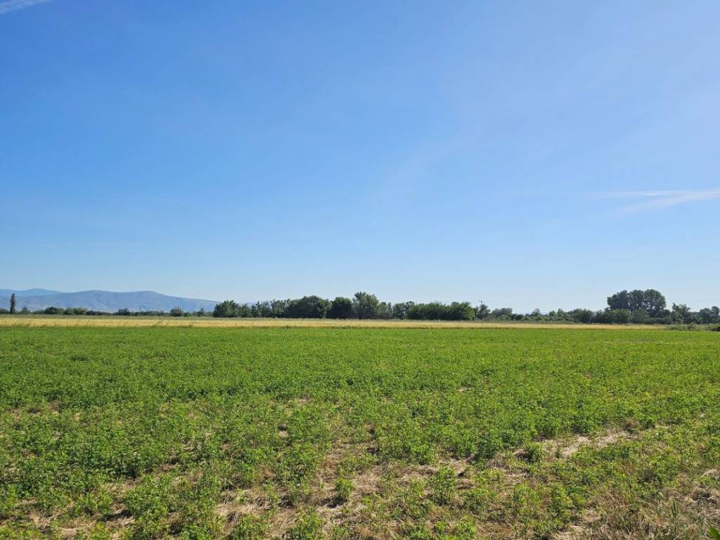 ΑΓΡΟΤΕΜΑΧΙΟ  25 ΣΤΡΕΜΜΑΤΩΝ