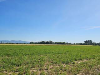 ΑΓΡΟΤΕΜΑΧΙΟ 25 ΣΤΡΕΜΜΑΤΩΝ
