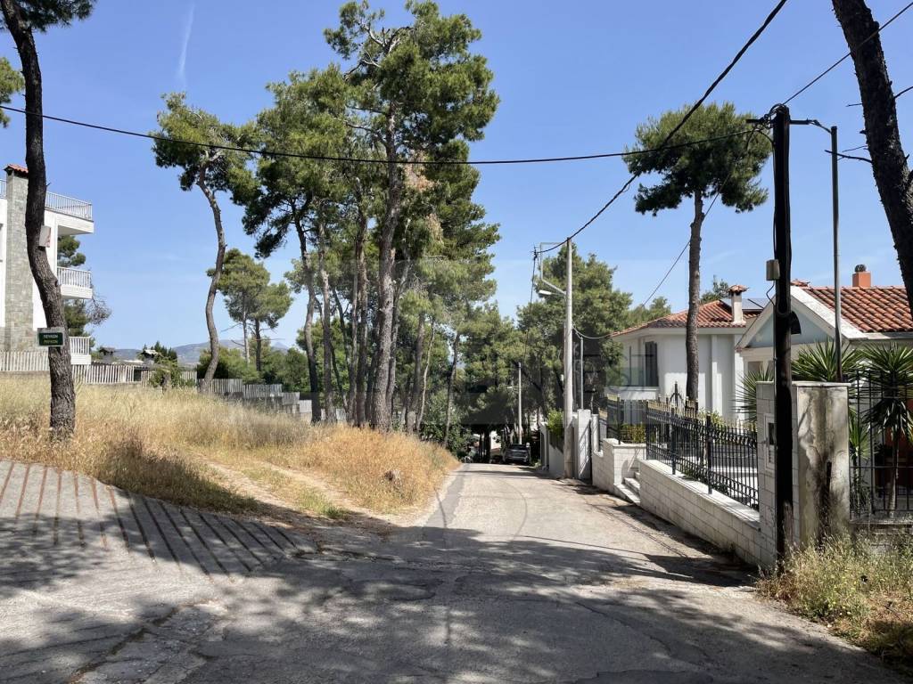 Εξωτερικοι χώροι