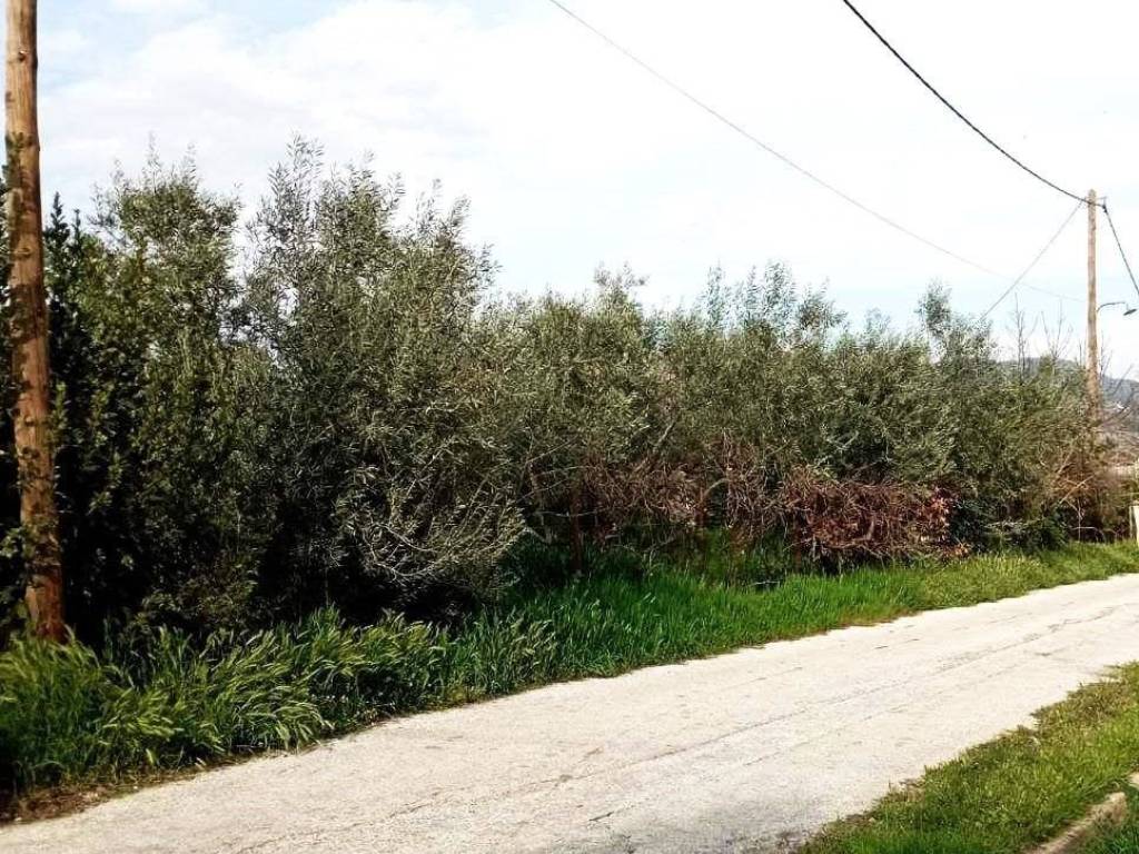 Εξωτερική όψη οικοπέδου