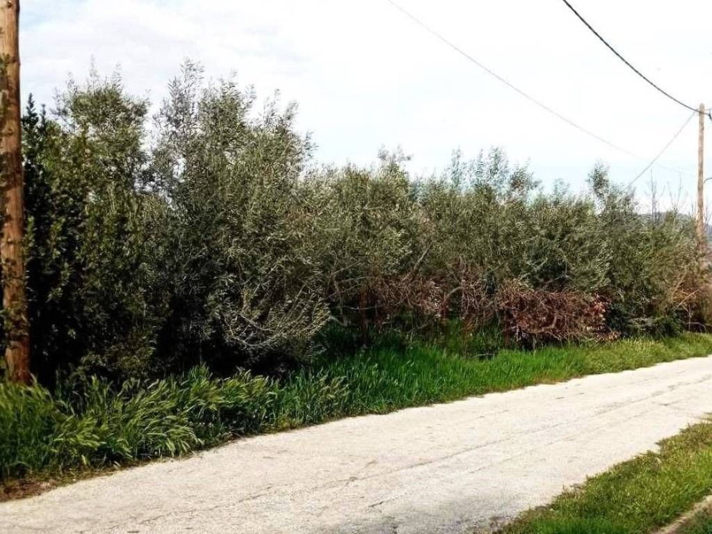 Εξωτερική όψη οικοπέδου