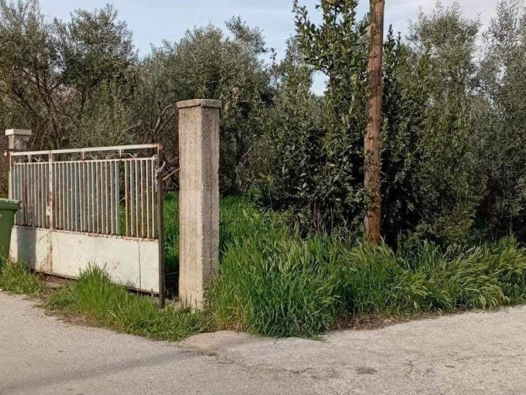 Εξωτερική όψη οικοπέδου