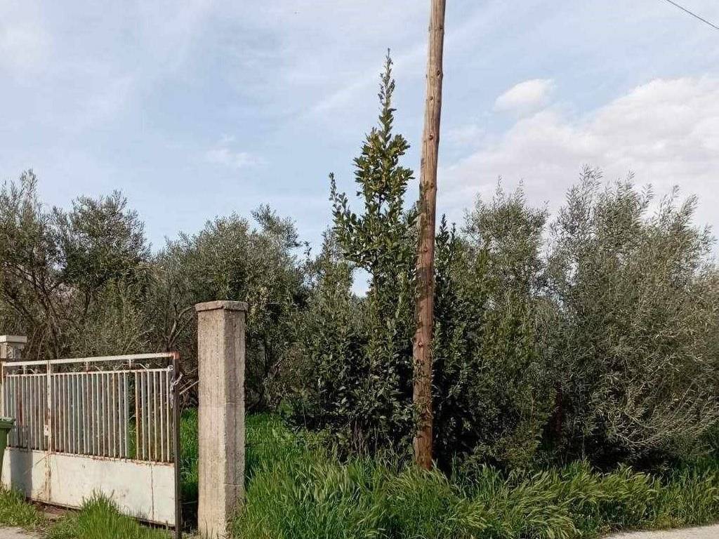 Εξωτερική όψη οικοπέδου