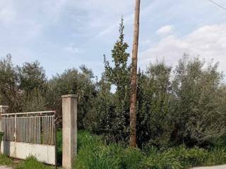 Εξωτερική όψη οικοπέδου