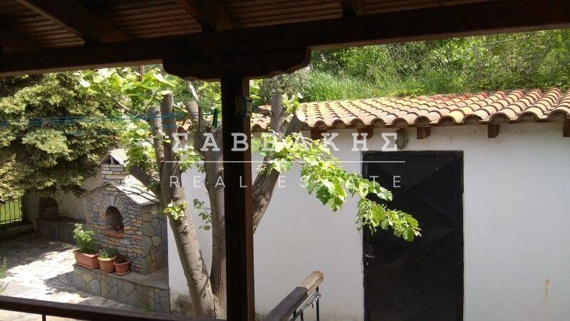 Ύπαρξη ανθρώπου