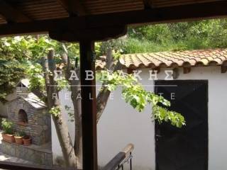 Ύπαρξη ανθρώπου